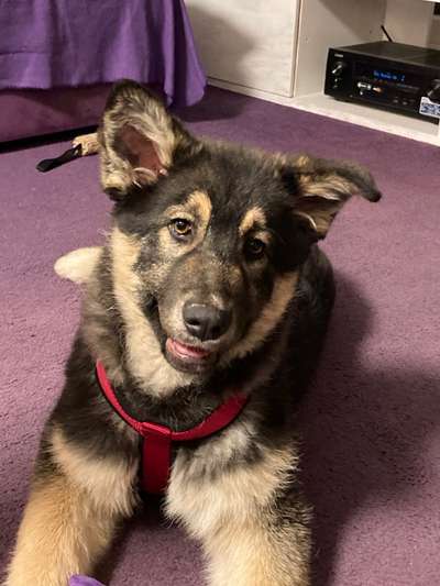 Erstes Bild-Beitrag-Bild