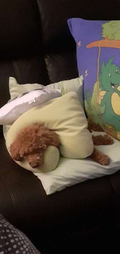 Un...scharf Bilder-Beitrag-Bild