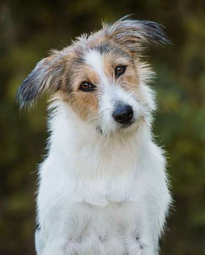 Fotochallange Nr. 57     PORTRÄT.   Beendet!!!!!!!!-Beitrag-Bild