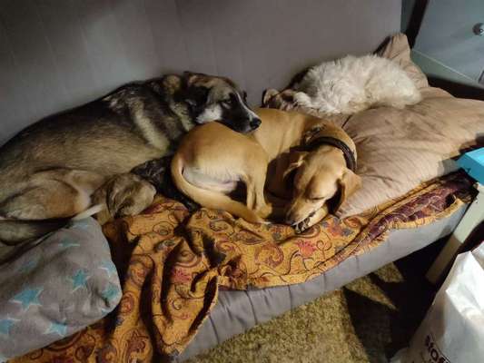 Handy-Foto-Challange Nr. 8-Beitrag-Bild