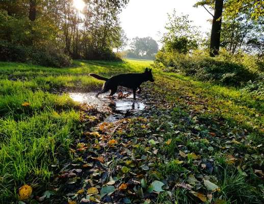 Theos Fotochallange Nummer 4-Beitrag-Bild