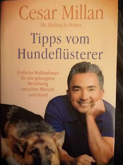 Hunde-Fachliteratur-Beitrag-Bild