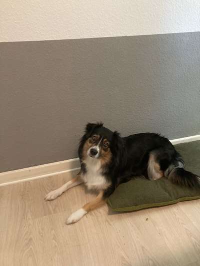 Handy-Foto Challange Nr. 10-Beitrag-Bild