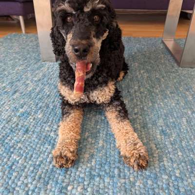 Zahnstein verhindern?-Beitrag-Bild