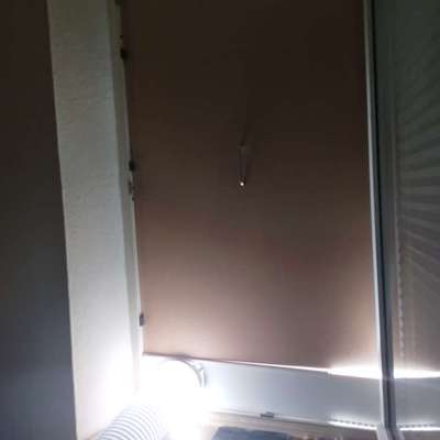Hund in aufgewärmter Wohnung alleine?-Beitrag-Bild