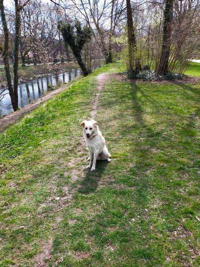 Was hat euch heute gefreut?-Beitrag-Bild