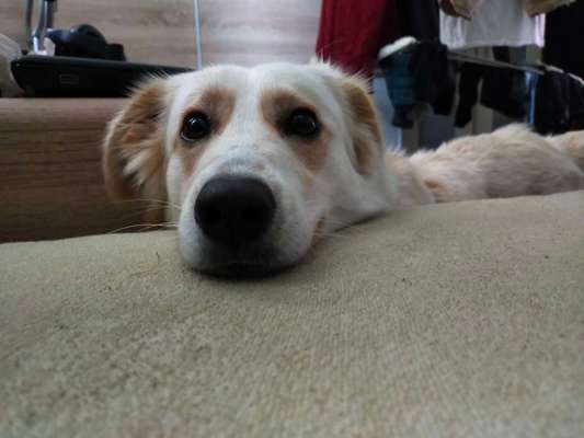 Was hat euch heute gefreut?-Beitrag-Bild