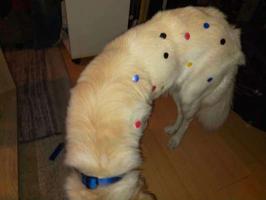 34. Farben-Challenge: Punkte - Punkte - Pünktchen-Beitrag-Bild