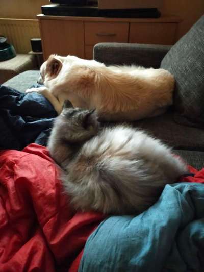 Was hat euch heute genervt?-Beitrag-Bild