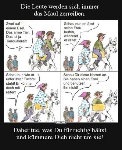 Was haltet ihr von Hundewiesen?-Beitrag-Bild