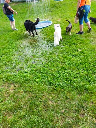 Was hat euch heute gefreut?-Beitrag-Bild