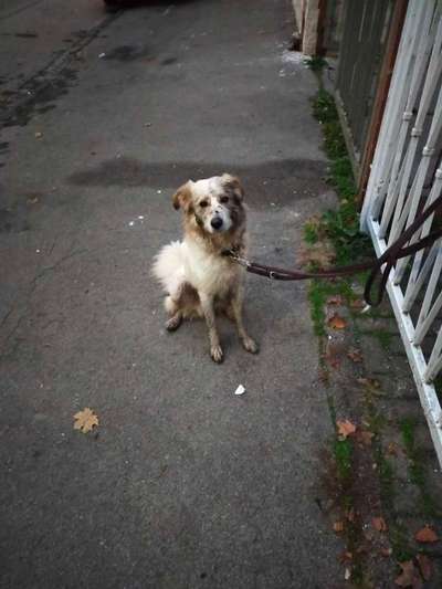 Was hat euch heute gefreut?-Beitrag-Bild