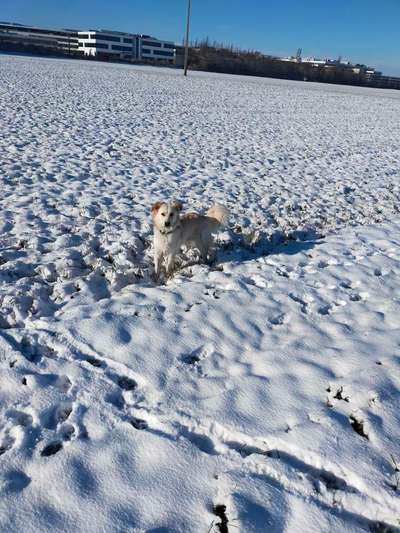 Anpassen bei Minusgraden-Beitrag-Bild