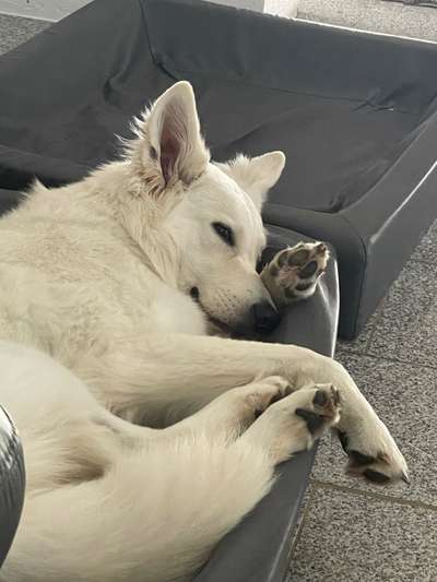 Handy-Foto Challange Nr. 10-Beitrag-Bild