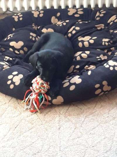 Das erste Foto-Beitrag-Bild