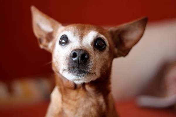 Lieblingsbild-Beitrag-Bild