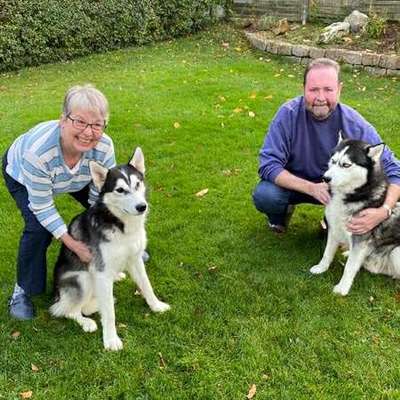 Hundetreffen-Husky Besitzer Raum Wehrheim/Neu Anspach/Usingen-Profilbild