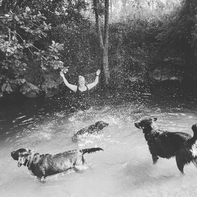 Dogorama-Monats-Challenge-Mai "Wasser"-Beitrag-Bild