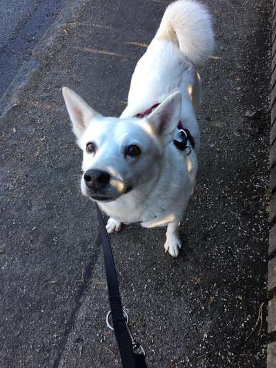 147. Foto Challenge: Bettelblick-Beitrag-Bild