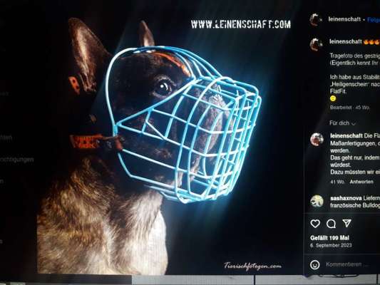 Wie sitzt mein Maulkorb / Maulkorb-Beratung-Beitrag-Bild