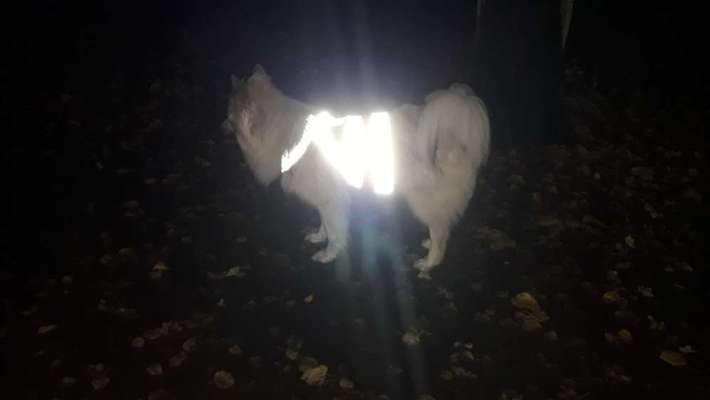 Leuchtie bei Dunkelheit bitte !-Beitrag-Bild