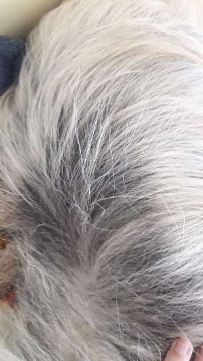 Blick fürs Detail!-Beitrag-Bild