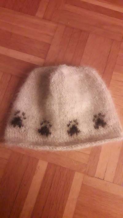 Ressource Hundewolle-Beitrag-Bild