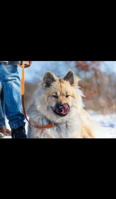 Blick fürs Detail!-Beitrag-Bild