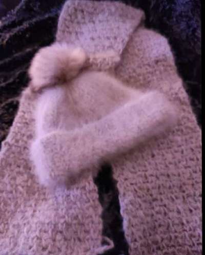 Ressource Hundewolle-Beitrag-Bild