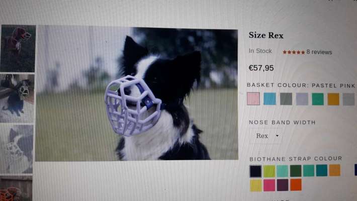 Wie sitzt mein Maulkorb / Maulkorb-Beratung-Beitrag-Bild