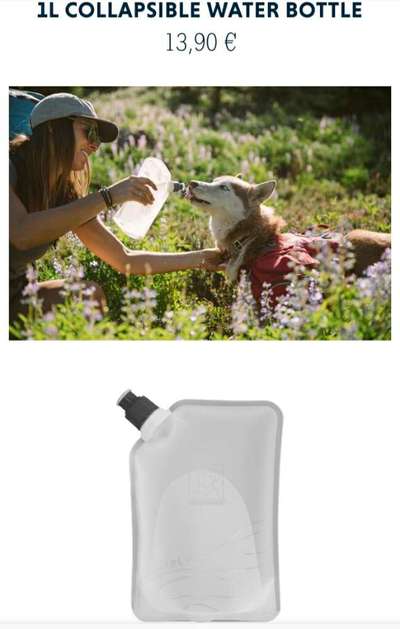 Rucksack für den Hund-Beitrag-Bild