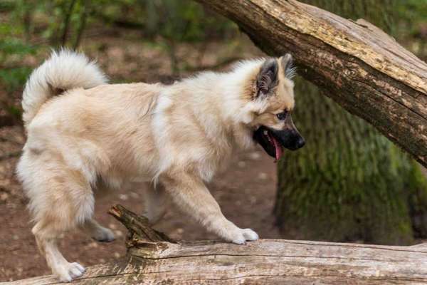 Ist das ein...?-Beitrag-Bild