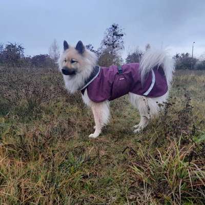 Welche Mäntel empfehlt ihr?-Beitrag-Bild