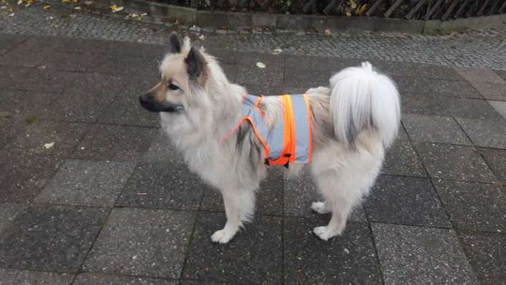 Leuchtie bei Dunkelheit bitte !-Beitrag-Bild