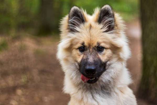 Ist das ein...?-Beitrag-Bild