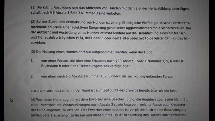 Qualzucht - Warum Aufklärung alleine nicht reicht-Beitrag-Bild