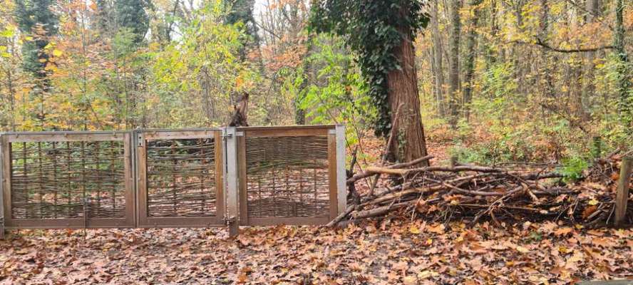 Hundeauslaufgebiet-Alter Friedhof-Bild