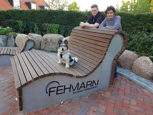 Dogorama Photo Challenge - Gassipause-Beitrag-Bild