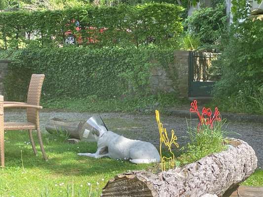 Gespräche zwischen Hund und Halter-Beitrag-Bild