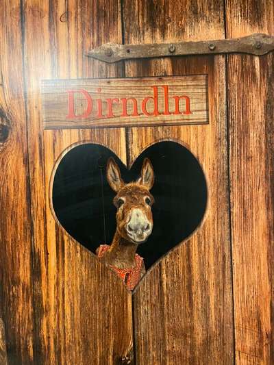 Hunde Memes-Beitrag-Bild