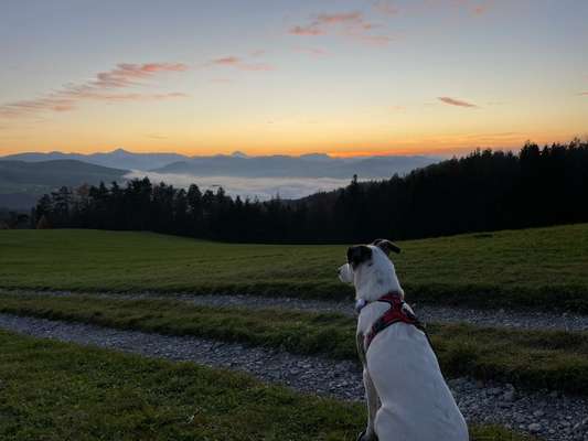 14. Collagen Challenge- Sonnenaufgang & -Untergang-Beitrag-Bild