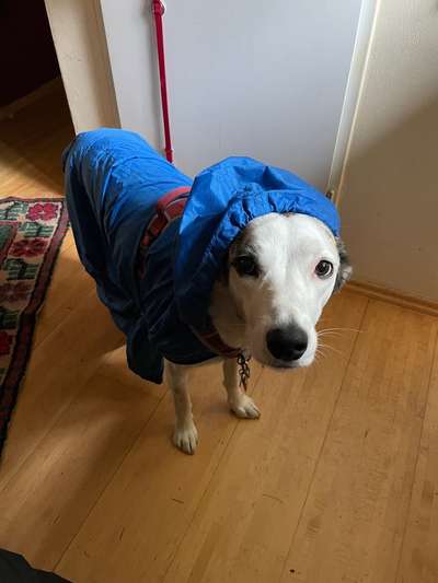 10. Farben Foto-Challenge ---- Blau-Beitrag-Bild