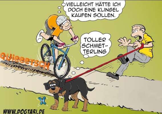 Hunde Memes-Beitrag-Bild