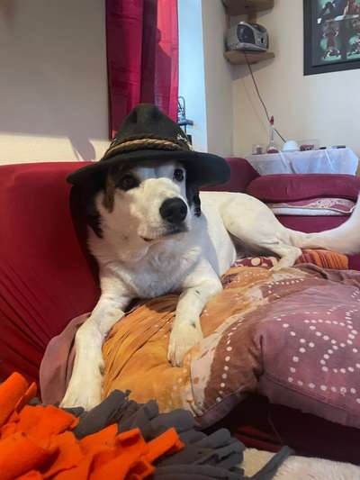 32. Collagen Challenge - eure liebsten gestellten Fotos-Beitrag-Bild