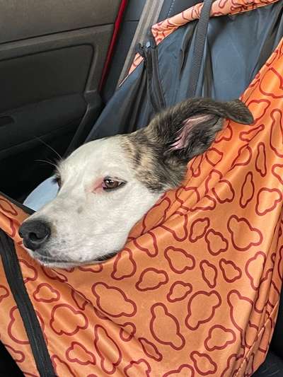 Fotochallenge 101:
On Tour-Beitrag-Bild