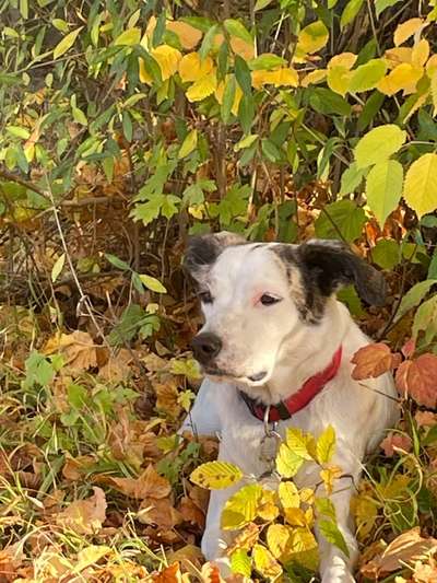 Handy-Foto-Challange Nr.9-Beitrag-Bild