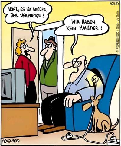 Hunde Memes-Beitrag-Bild