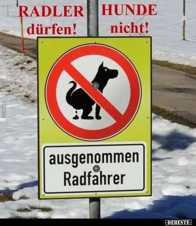 Hunde Memes-Beitrag-Bild