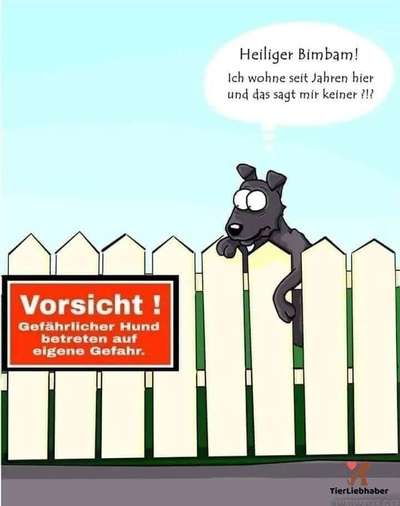 Hunde Memes-Beitrag-Bild