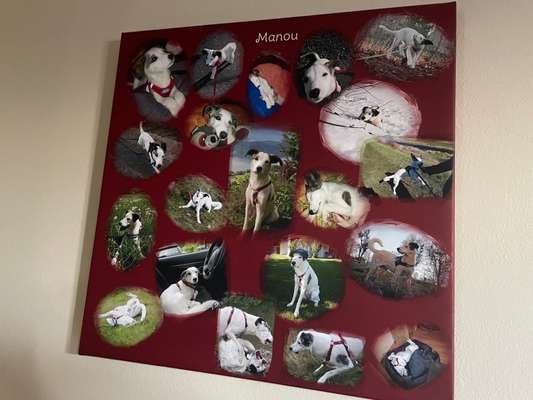 Sie werden so schnell groß!-Beitrag-Bild